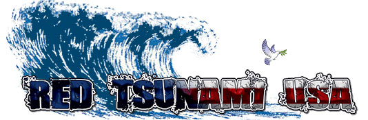 Red Tsunami USA Logo